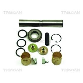 Achetez des Kit d'assemblage, pivot de fusée d'essieu TRISCAN 8500 2362 à prix pour 68,24 €