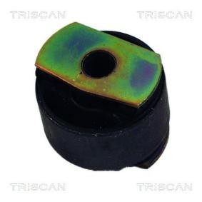 Lagerung, Lenker von TRISCAN