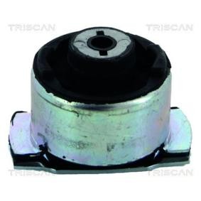 Acquista Supporto assale da TRISCAN 8500 25821 a buon mercato per soli 24,38 €