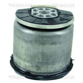 Achskörperlager für CITROËN von TRISCAN