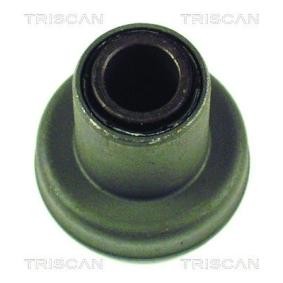 Lagerung, Lenker von TRISCAN