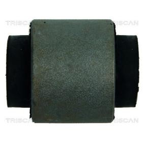 Acquista Supporto braccio oscillante da TRISCAN 8500 50808 a buon mercato per soli 20,23 €
