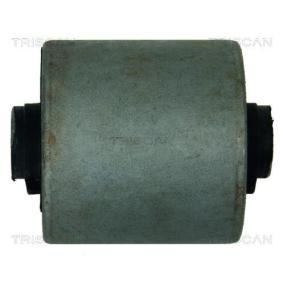 Acquista Supporto braccio oscillante da TRISCAN 8500 50809 a buon mercato per soli 20,38 €