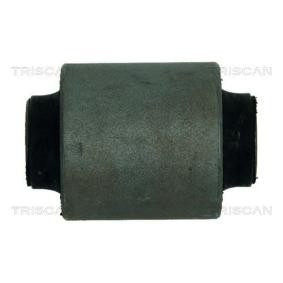 Acquista Supporto braccio oscillante da TRISCAN 8500 50811 a buon mercato per soli 10,44 €