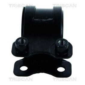 Acquista Supporto braccio oscillante da TRISCAN 8500 50814 a buon mercato per soli 46,29 €