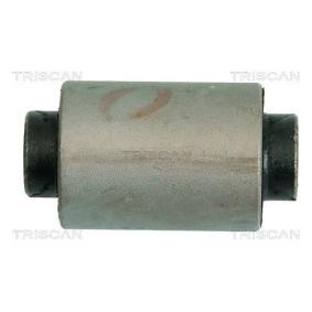 Acquista Supporto braccio oscillante da TRISCAN 8500 69802 a buon mercato per soli 6,84 €