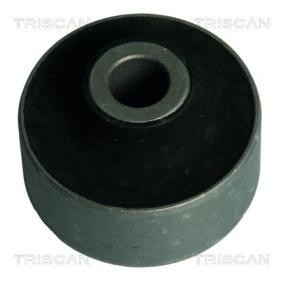Acquista Supporto braccio oscillante da TRISCAN 8500 69803 a buon mercato per soli 13,99 €