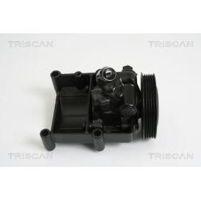 Servopumpe von TRISCAN