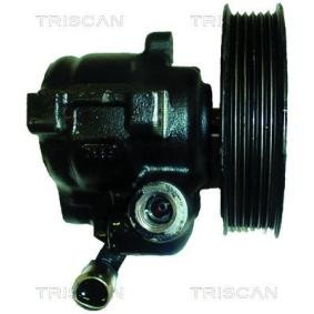 Servopumpe von TRISCAN
