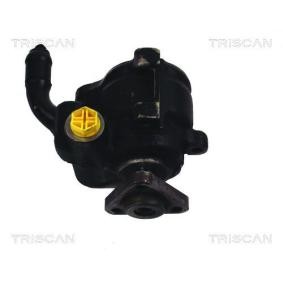 Servopumpe von TRISCAN