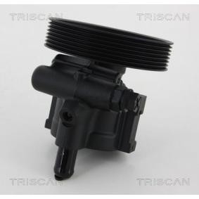 Servopumpe von TRISCAN