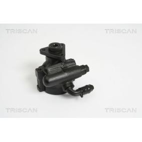 Servopumpe von TRISCAN