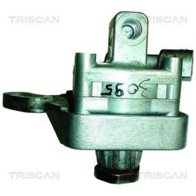Servopumpe von TRISCAN