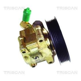 Servopumpe von TRISCAN