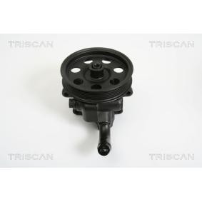 Servopumpe von TRISCAN