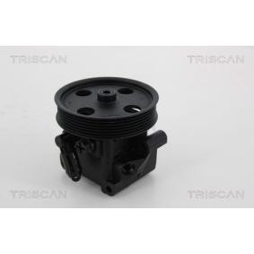 Servopumpe von TRISCAN