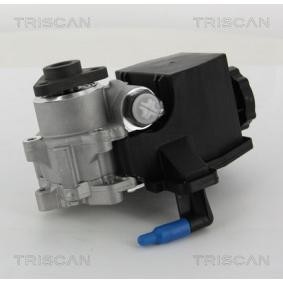 Servopumpe von TRISCAN