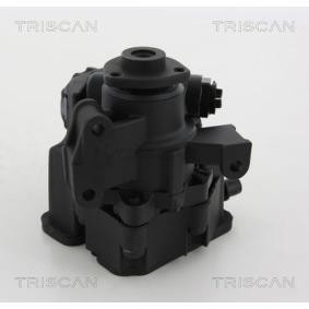 Servopumpe von TRISCAN