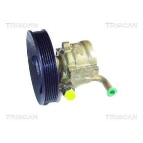 Comprar Bomba de dirección de TRISCAN 8515 24608 a bajo precio de 253,36 €