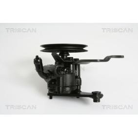 Servopumpe von TRISCAN