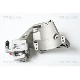 Servopumpe von TRISCAN