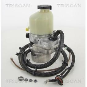 Servopumpe von TRISCAN