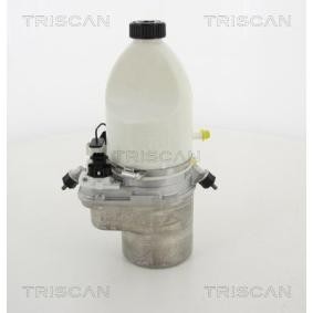 Servopumpe von TRISCAN