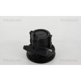 Servopumpe von TRISCAN