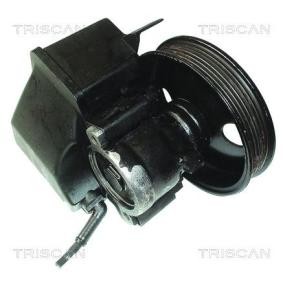 Servopumpe von TRISCAN