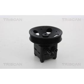Servopumpe von TRISCAN