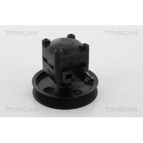 Servopumpe von TRISCAN