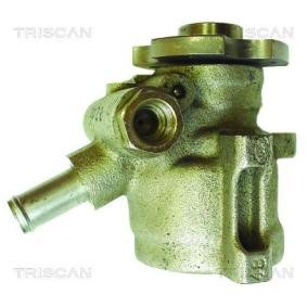 Servopumpe von TRISCAN