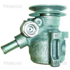 Servopumpe von TRISCAN
