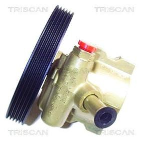 Servopumpe von TRISCAN