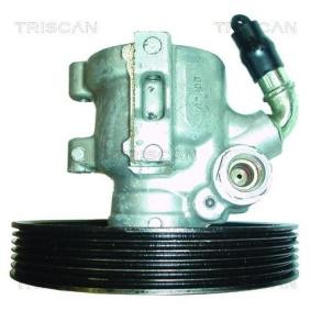 Servopumpe von TRISCAN