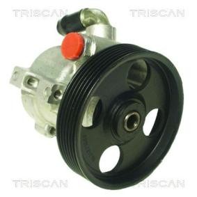 Servopumpe von TRISCAN
