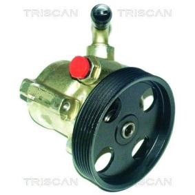 Servopumpe von TRISCAN