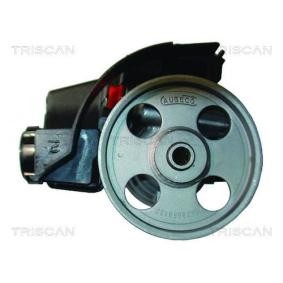 Servopumpe von TRISCAN