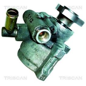 Servopumpe von TRISCAN