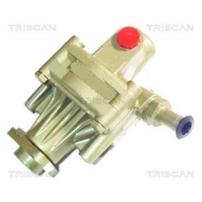 Servopumpe von TRISCAN
