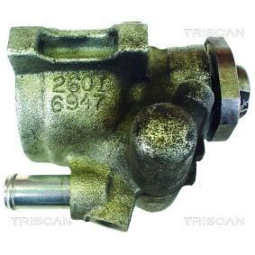 Servopumpe von TRISCAN