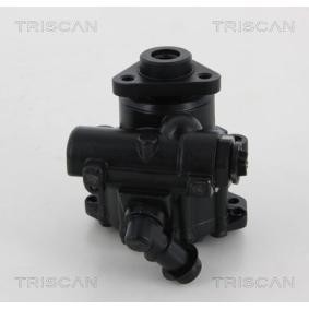 Servopumpe von TRISCAN