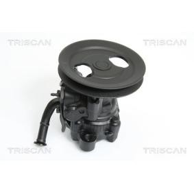 Achetez des Pompe de direction assistée de chez TRISCAN en ligne pour COLT III (C5_A) à prix modérés