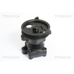 Servopumpe von TRISCAN