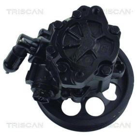 Servopumpe von TRISCAN
