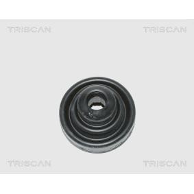 Acquista Kit cuffia, semiasse da TRISCAN 8540 15908 a buon mercato per soli 12,42 €