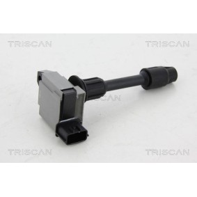 Acquista Kit cuffia, semiasse da TRISCAN 8540 17803 a buon mercato per soli 14,97 €