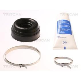 Acquista Kit cuffia, semiasse da TRISCAN 8540 17901 a buon mercato per soli 13,66 €