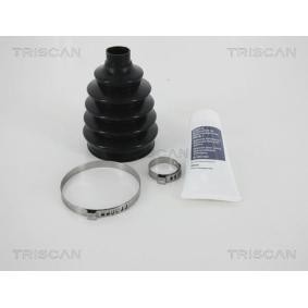 Acquista Kit cuffia, semiasse da TRISCAN 8540 21805 a buon mercato per soli 32,44 €
