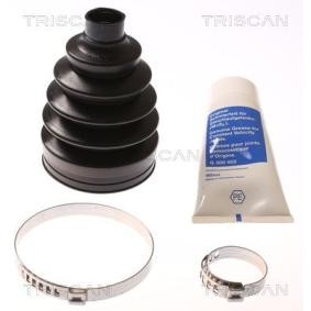 Acquista Kit cuffia, semiasse da TRISCAN 8540 80805 a buon mercato per soli 21,72 €